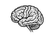 Brain Tree Knowledge Design Bundle, an Illustration by Gaye Art (Thumbnail 13 of 31)