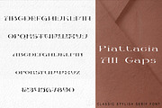 Piattacia font family, a Serif Font by greatypes studio (Thumbnail 4 of 15)