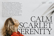 CS Rollent – Classic Serif Font, a Serif Font by Craft Supply Co. (Thumbnail 6 of 8)