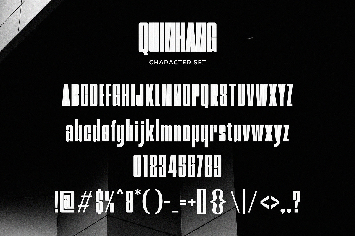 Quinhang - Modern Condensed Sans Ser, a Sans Serif Font by TypeLogue (Photo 4 of 5)