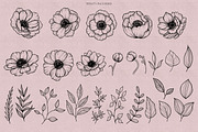Poppies & Anemones Procreate Stamps, a Brush Add-On by Dervik Art Store (Thumbnail 3 of 9)