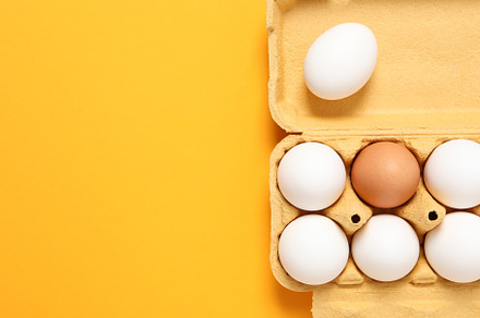 Egg box with eggs, space for text, a Food & Drink Photo by AtlasStudio PRO