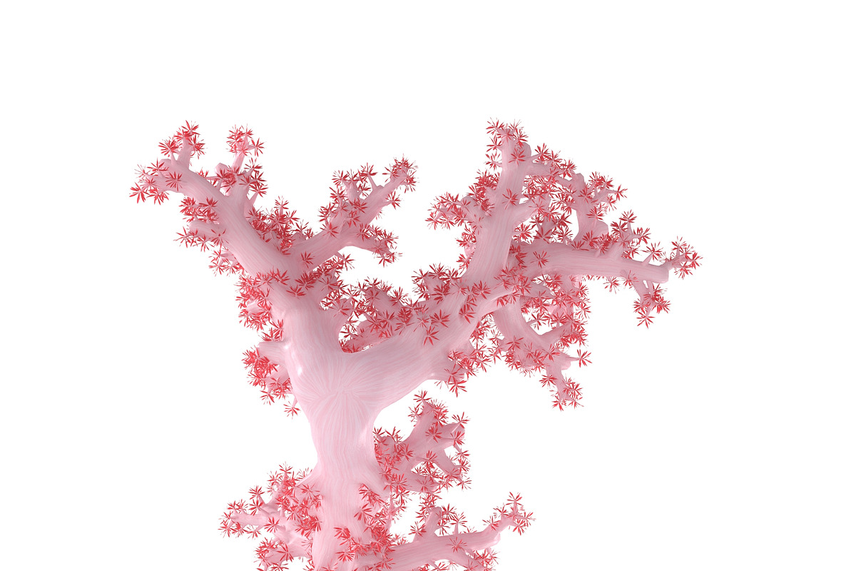 Acropora aasp 1, an Environmental 3D Model by AndrewWhite (Photo 4 of 11)