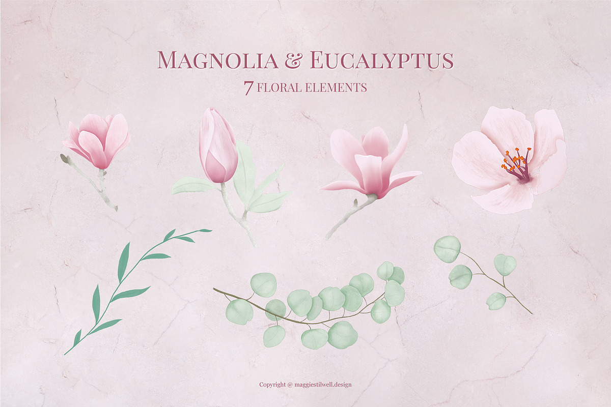 Magnolia & Eucalyptus Alphabet, an Illustration by Maggie Stilwell Design (Photo 4 of 5)