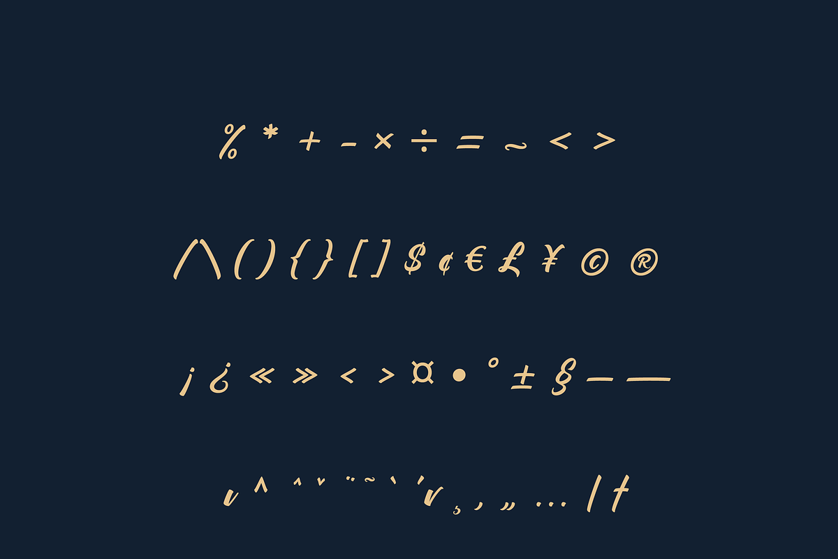 Nigolo Script Font, a Script Font by Creative Foundry (Photo 7 of 8)