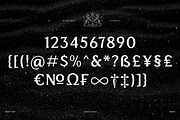 Elmont | 18 Fonts, a Serif Font by Skinny Type (Thumbnail 8 of 10)