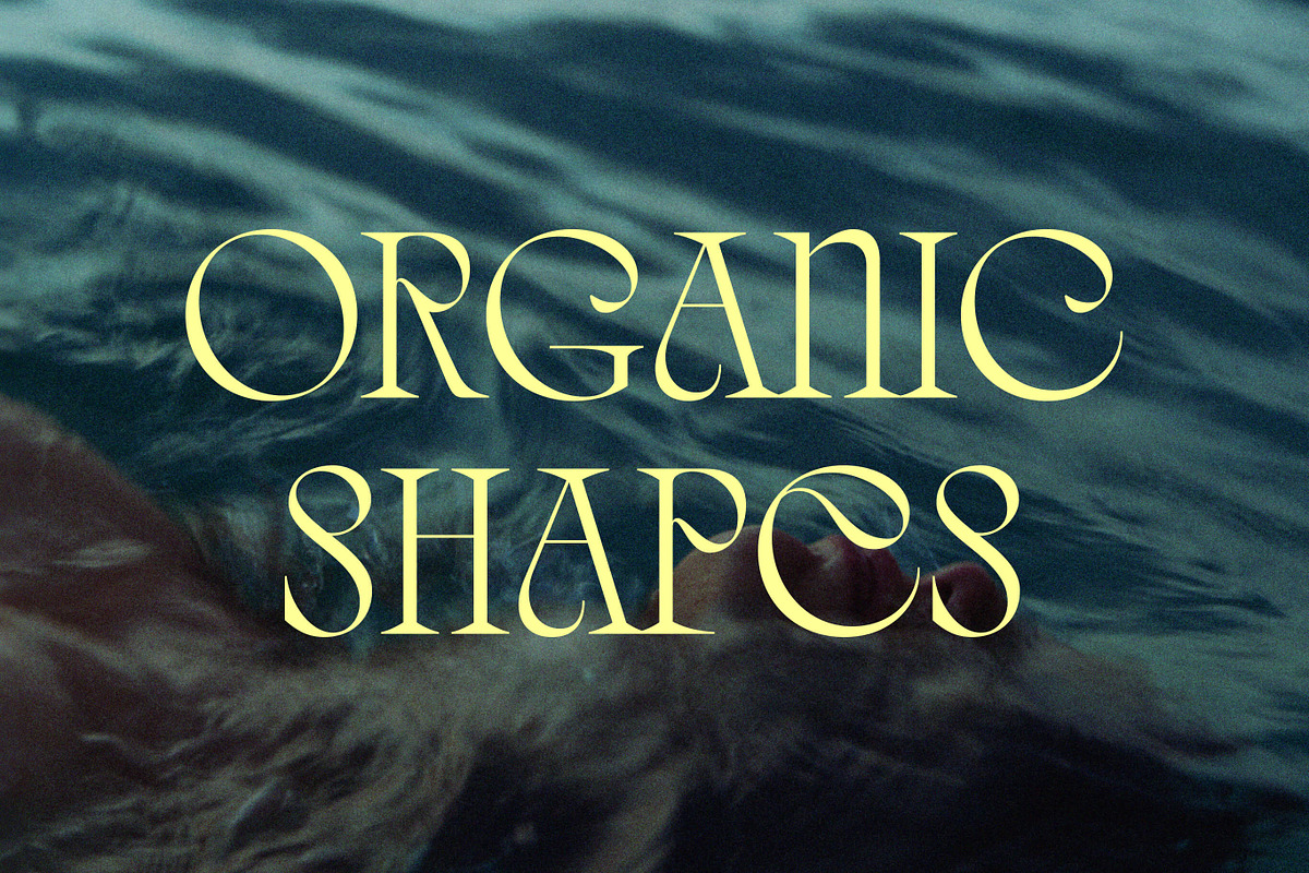Quelia - Organic Display Font, a Serif Font by Piotr Łapa (Photo 12 of 12)