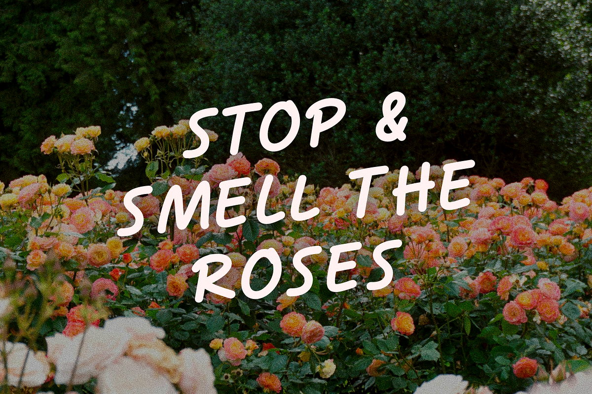 Dandelions Cute Handwritten Font, a Handwritten Font by The Creative Bix (Photo 3 of 11)