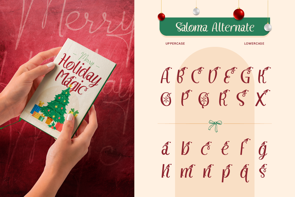 Saloma Signature, a Script Font by Burntilldead (Photo 4 of 11)