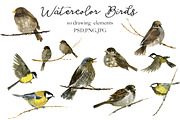Watercolor Birds, an Animal Illustration by cat_arch_angel (Thumbnail 2 of 2)