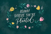 The Blooming Lovely Font Duo, a Script Font by Nicky Laatz (Thumbnail 21 of 28)