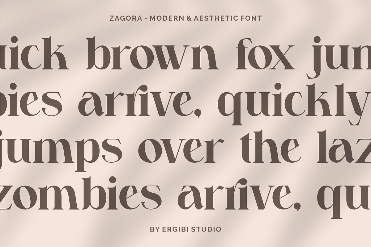 Zagora - Modern Font, a Serif Font by ErgibiStudio (Photo 6 of 10)