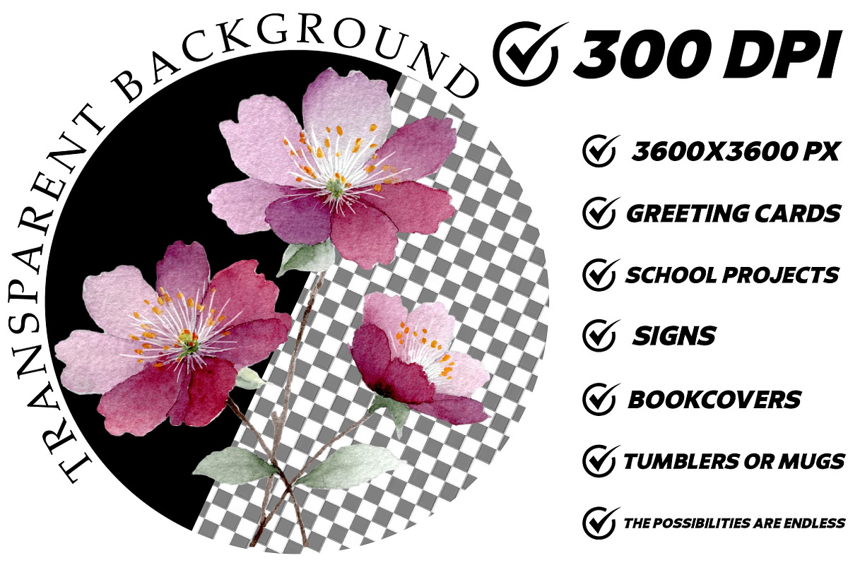 Wildflowers Watercolor Clipart, an Illustration by DreamCafeArt (Photo 2 of 6)