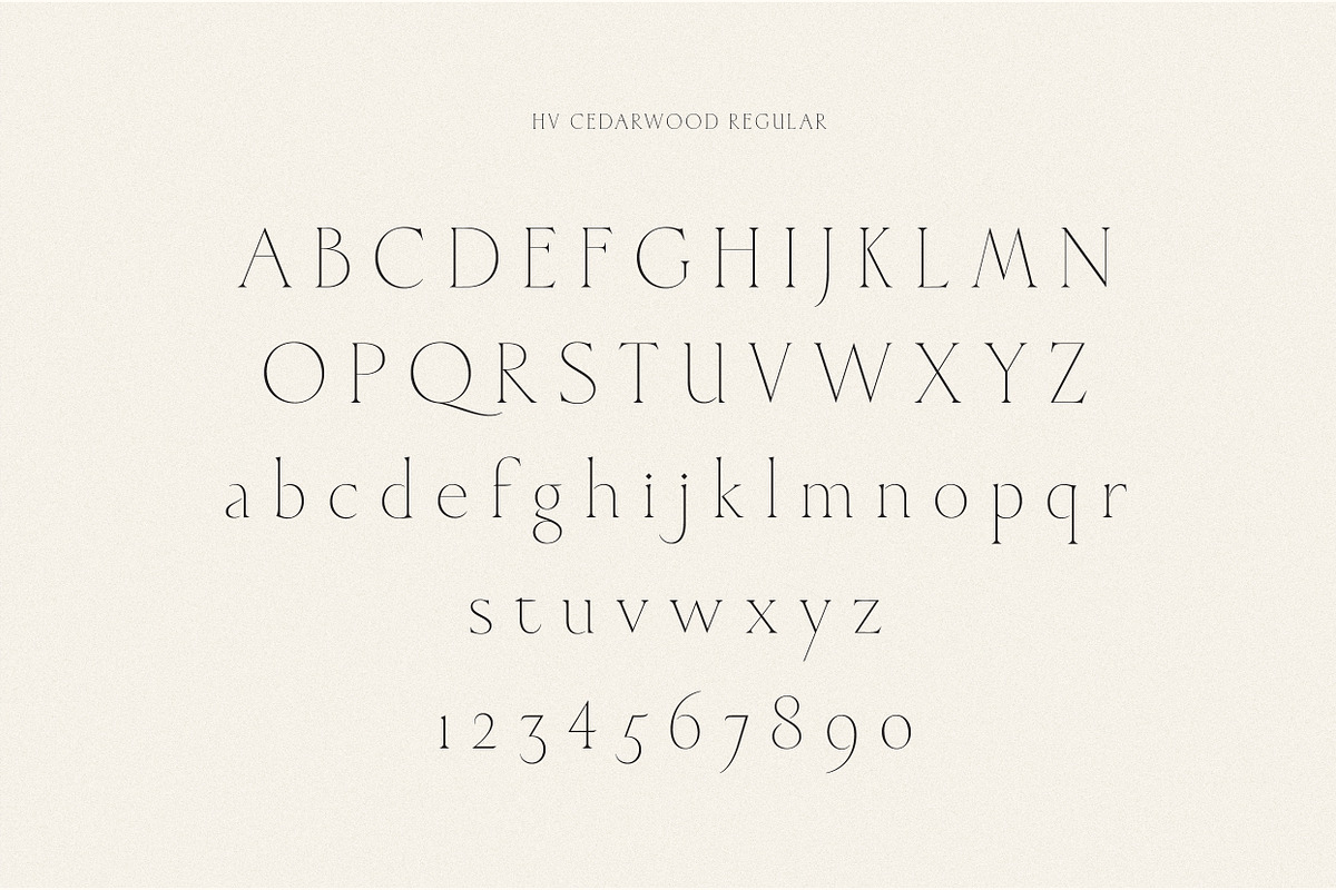 Cedarwood - Classy Serif, a Serif Font by Harmonais Visual (Photo 17 of 19)