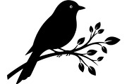 Birds on Branch Vector Collection, an Illustration by Designer_Momina (Thumbnail 16 of 21)