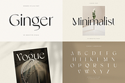Unique Branding Modern Font Bundle, a Serif Font by Sensatype (Thumbnail 4 of 13)