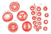 Tomato Farm Vector Collection, a Food Illustration by Lubov Illustrations Shop (Thumbnail 6 of 13)