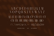 Erhjan Elegant Serif Font, a Serif Font by Graphicxell (Thumbnail 8 of 8)