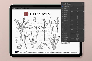 Tulip Spring Flower Procreate Stamps