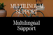 Michale Modern Serif Typeface, a Serif Font by Alfinart (Thumbnail 9 of 10)