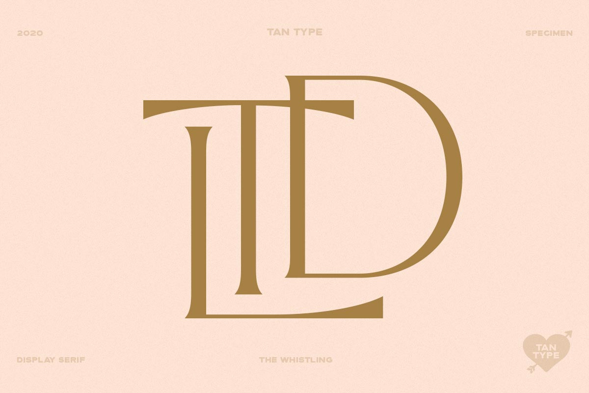 TAN - The Whistling, a Serif Font by TanType (Photo 11 of 35)