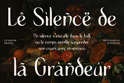 CS Nadine Drawn, a Serif Font by Craft Supply Co. (Thumbnail 7 of 8)