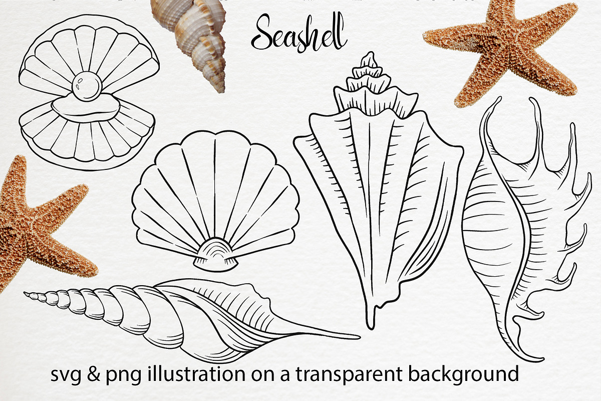 Underwater life set clipart, an Illustration by Gennadi Digital Studio (Photo 3 of 6)