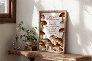 Mushrooms watercolor clip art, a Seasonal Illustration by Alena Sid (Thumbnail 8 of 13)