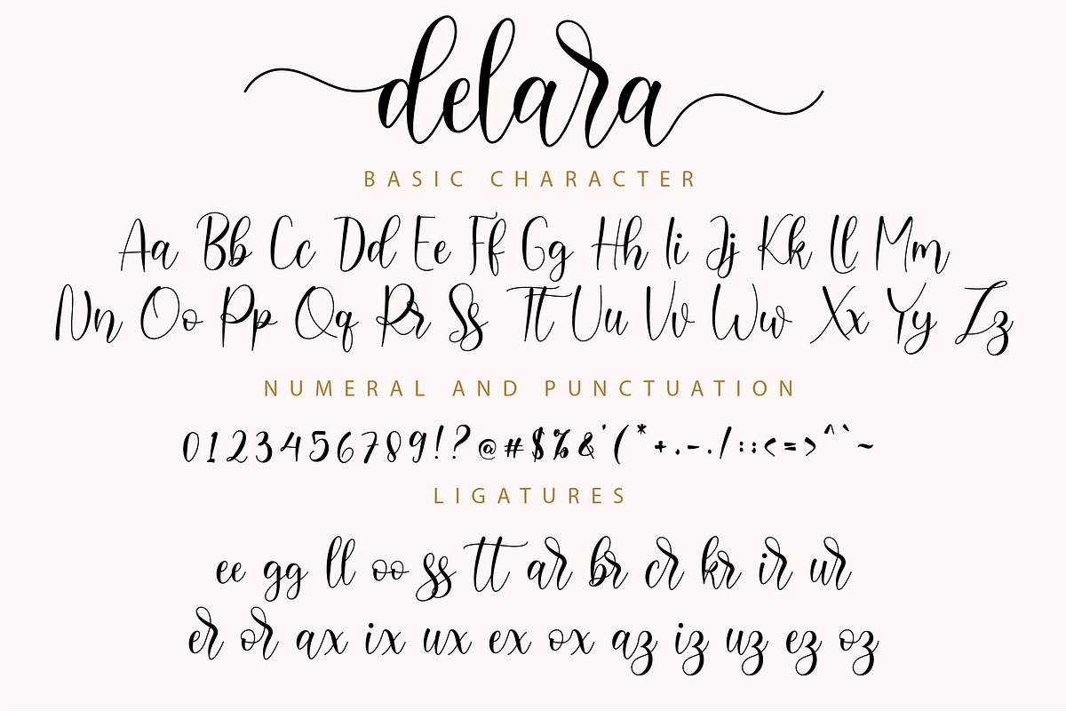 Delara Script, a Script Font by Nissa Studio (Photo 11 of 12)