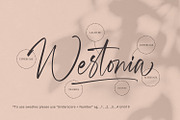 Westonia - Signature Font, a Script Font by Alpaprana (Thumbnail 16 of 19)