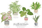 House Plants Collection Set II, a Graphic by SmallHouseBigPony (Thumbnail 12 of 21)