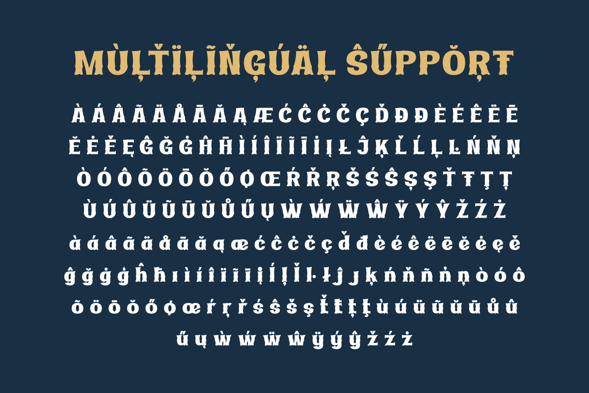 Ridasbin | Serif Classic Modernism, a Serif Font by twinstd (Photo 11 of 13)