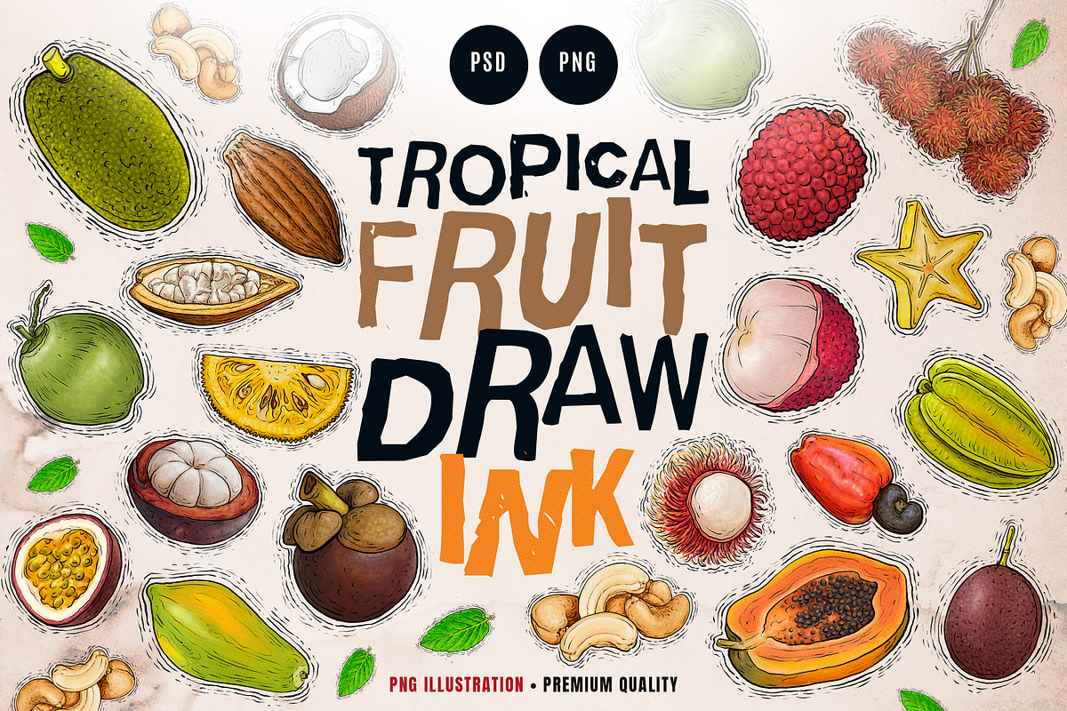 Tropical Fruit Illustration 2, an Object Graphic by RMPL.std (Photo 1 of 4)