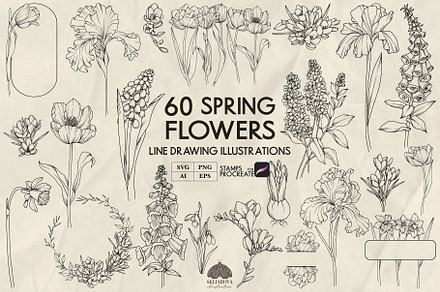 Spring flowers line art + Procreate, a Decorative Illustration by Skliarova