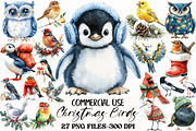 Christmas Birds Sublimation Clipart, an Illustration by Craft Nest (Thumbnail 1 of 6)