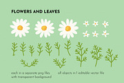 Daisy Ditsy Floral Pattern Bundle, a Pattern Graphic by AvaAva (Thumbnail 15 of 19)