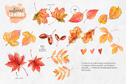 Autumn leaves. Watercolor clipart, an Illustration by VerAna (Thumbnail 2 of 8)