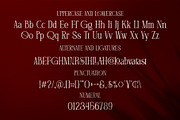 Geconda || Modern Serif Font, a Serif Font by Idea Studio (Thumbnail 5 of 5)