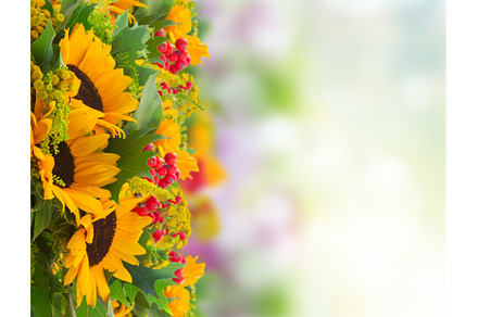 Sunflowers with green leaves, a Nature Photo by Neirfy