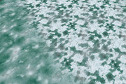 AUTUMN AND WINTER TEXTURE PACK, a Textures & Material 3D Model by Beatheart Creative Studio (Thumbnail 21 of 58)