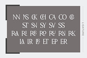 Sterla modern stylish typeface, a Serif Font by Font Kingdom (Thumbnail 4 of 9)