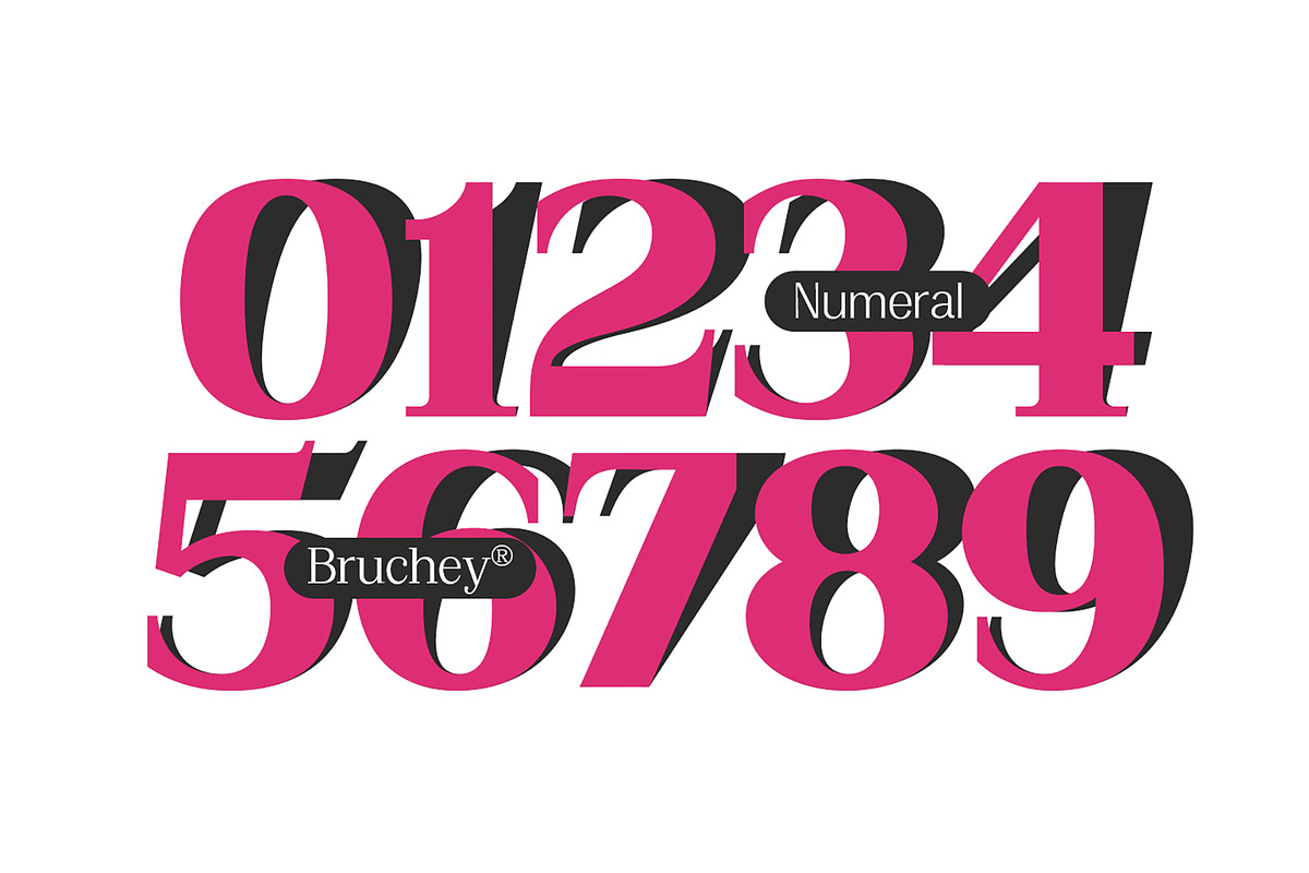 Bruchey Serif, a Serif Font by Fargun Studio (Photo 10 of 15)