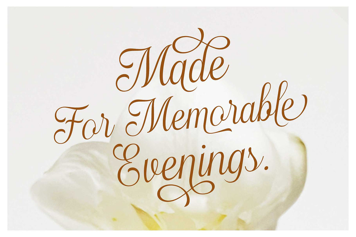Haydenta - Calligraphic Script, a Script Font by Novitype (Photo 6 of 12)