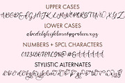 Anjelika A Handwritten Script Font, a Handwritten Font by Freeling Design House (Thumbnail 2 of 6)