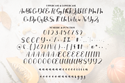 Pumpkin | Script Font, a Handwritten Font by Scratchones (Thumbnail 7 of 9)