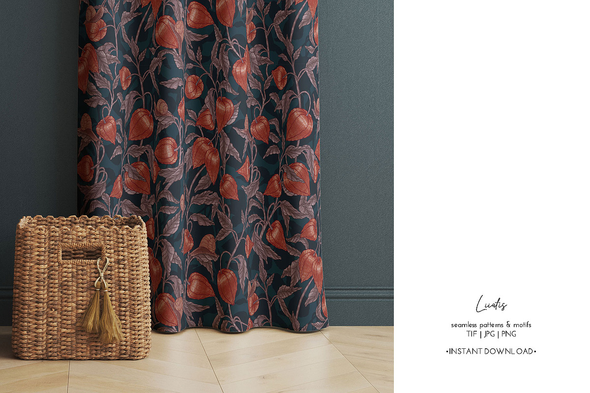 PHYSALIS GARDEN — Botanical Patterns, a Decorative Illustration by Liiafis (Photo 15 of 17)