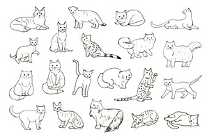 Breeds Of Cats