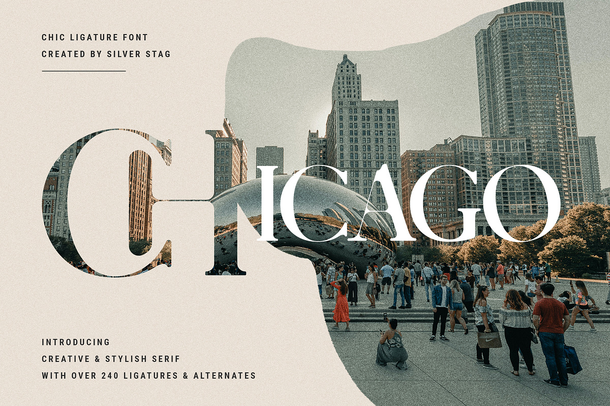 Charles - Ligature Serif Font Family, a Serif Font by SilverStag Type Foundry (Photo 4 of 32)