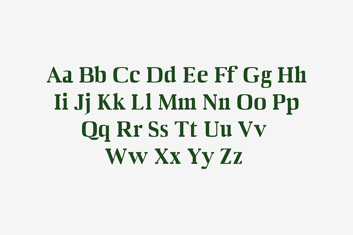 Barnes Serif 7 Font Family Pack preview 2