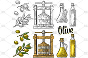 olive oil making engrave, a Food Illustration by MoreVector (Thumbnail 1 of 3)